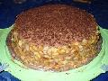 Stefnia torta